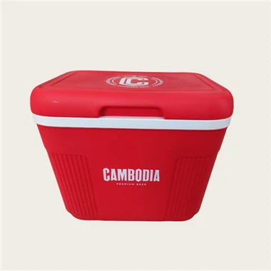 अछूता बॉक्स परियोजना पर कंबोडिया के स्वास्थ्य मंत्रालय के साथ सहयोग